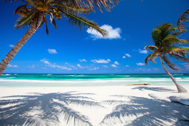Tulum_Mexico_BeachPalmWhiteSand_BlueOrangeStudio_123rf
